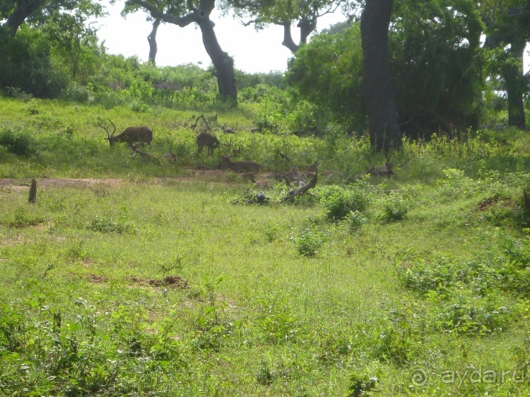 Коггала - это не Когалым