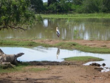 Коггала - это не Когалым