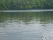 Коггала - это не Когалым