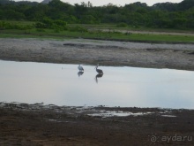 Коггала - это не Когалым