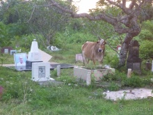 Коггала - это не Когалым