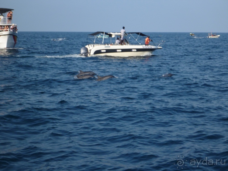 Коггала - это не Когалым