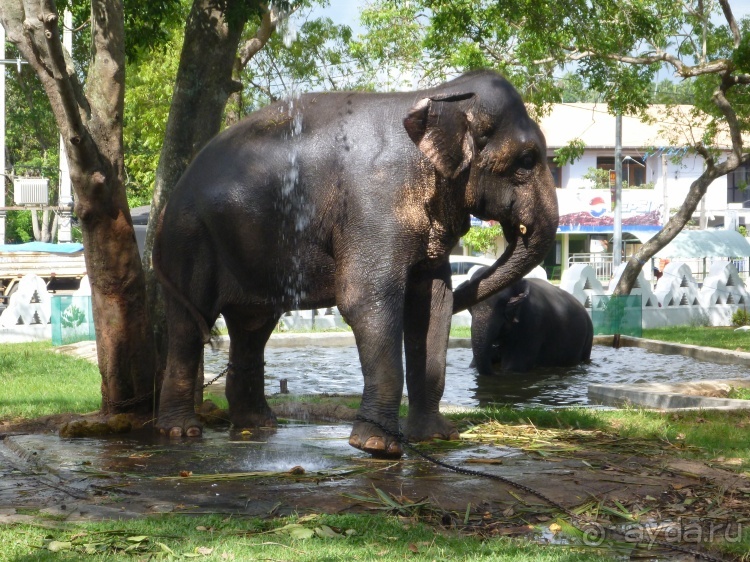 Коггала - это не Когалым