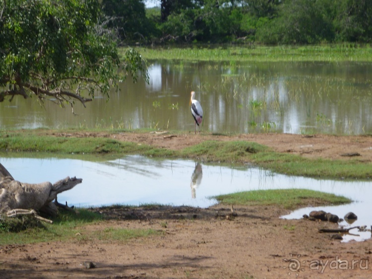Коггала - это не Когалым