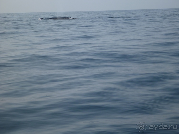 Коггала - это не Когалым