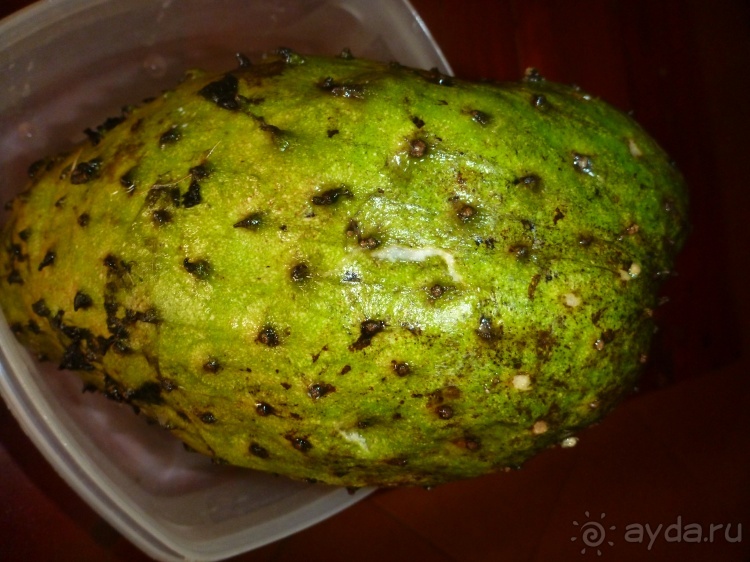 Коггала - это не Когалым