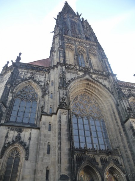 Жизнь и среда обитания русаков в Германии