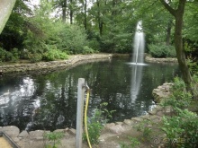 Жизнь и среда обитания русаков в Германии