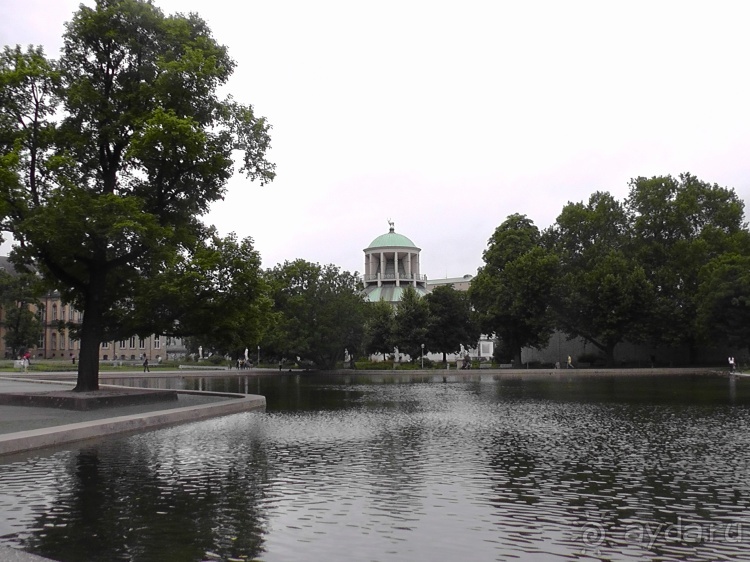 Жизнь и среда обитания русаков в Германии