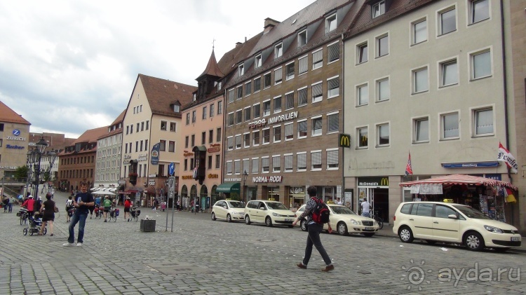 Жизнь и среда обитания русаков в Германии