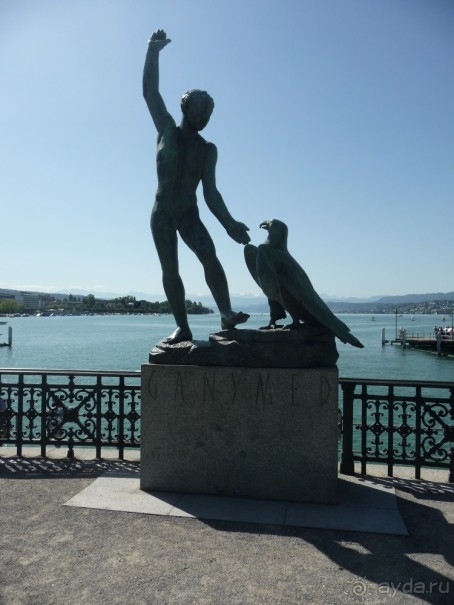 Жизнь и среда обитания русаков в Германии