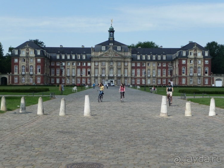 Жизнь и среда обитания русаков в Германии