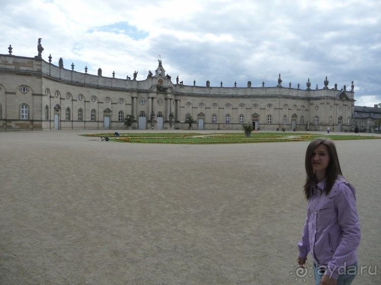 Жизнь и среда обитания русаков в Германии