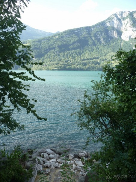 Жизнь и среда обитания русаков в Германии