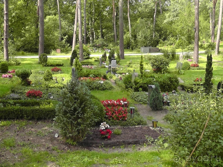 Жизнь и среда обитания русаков в Германии