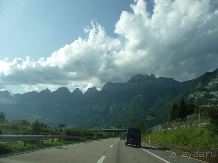 Жизнь и среда обитания русаков в Германии