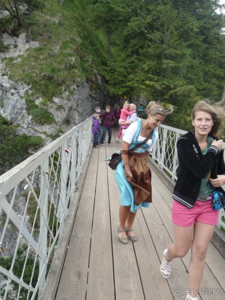 Жизнь и среда обитания русаков в Германии