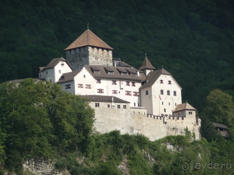 Жизнь и среда обитания русаков в Германии