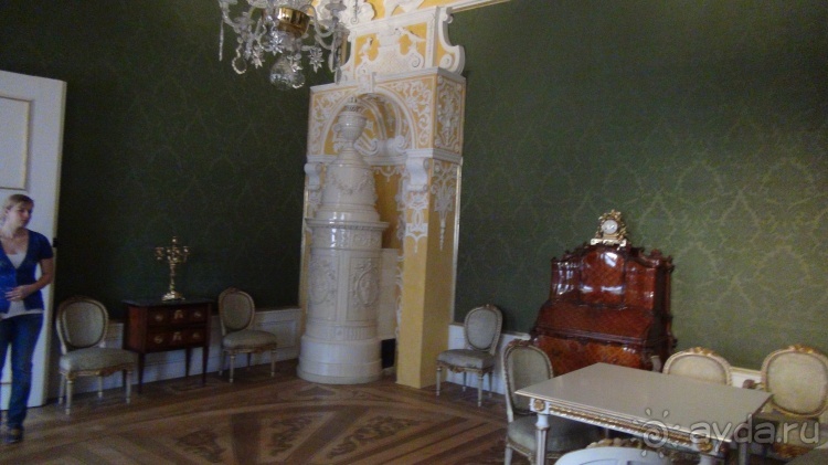 Жизнь и среда обитания русаков в Германии