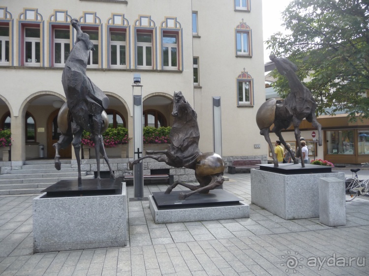 Жизнь и среда обитания русаков в Германии