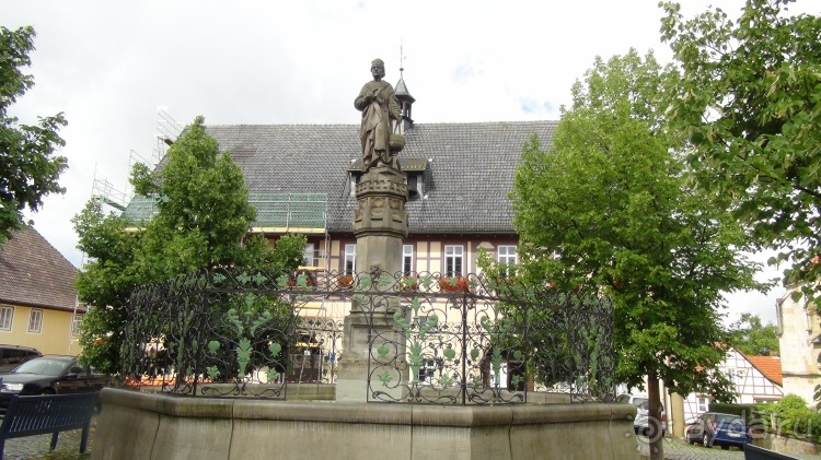 Жизнь и среда обитания русаков в Германии