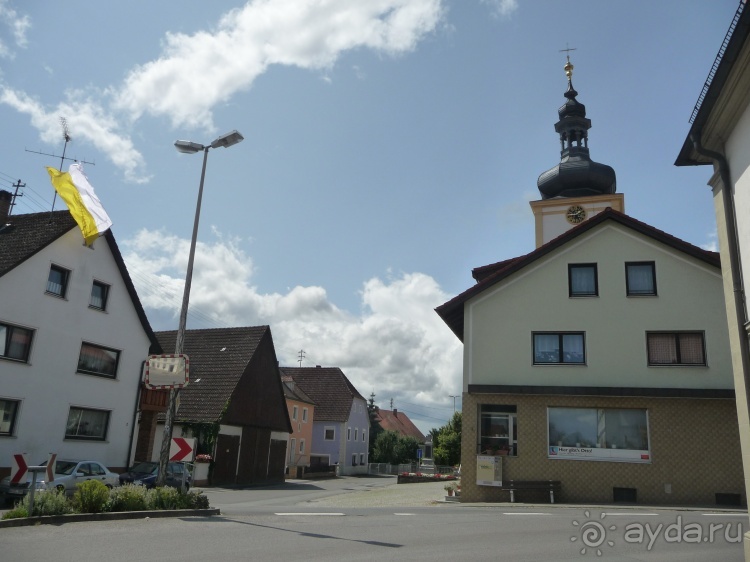 Жизнь и среда обитания русаков в Германии