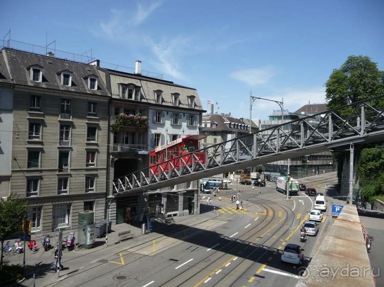 Жизнь и среда обитания русаков в Германии