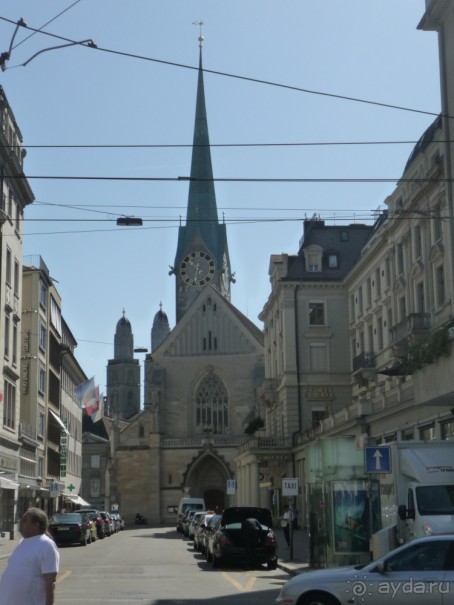 Жизнь и среда обитания русаков в Германии