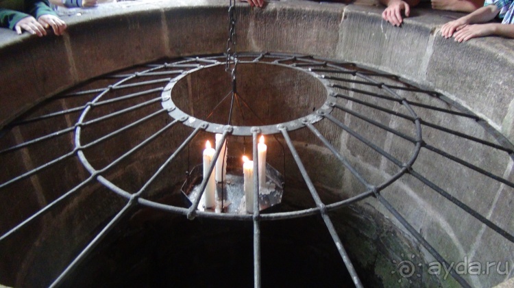 Жизнь и среда обитания русаков в Германии