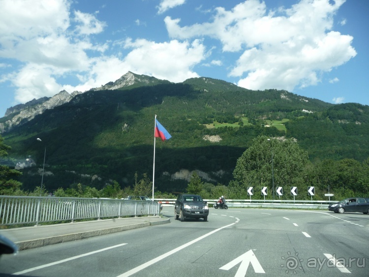 Жизнь и среда обитания русаков в Германии