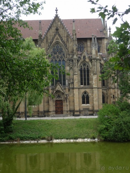 Жизнь и среда обитания русаков в Германии