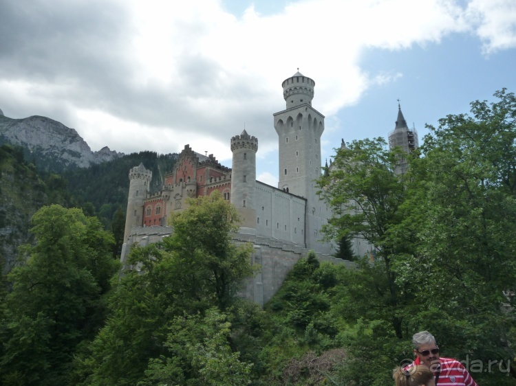 Жизнь и среда обитания русаков в Германии