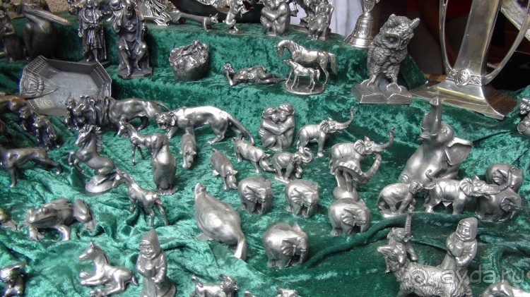 Жизнь и среда обитания русаков в Германии