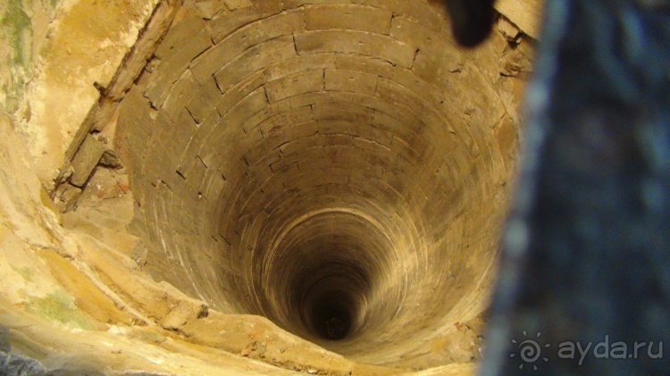 Жизнь и среда обитания русаков в Германии