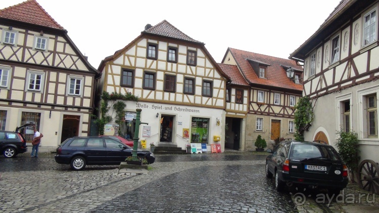 Жизнь и среда обитания русаков в Германии