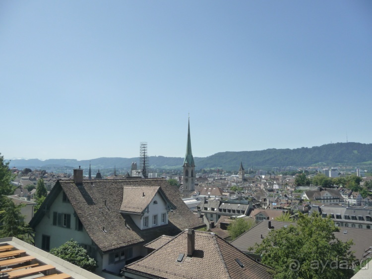 Жизнь и среда обитания русаков в Германии