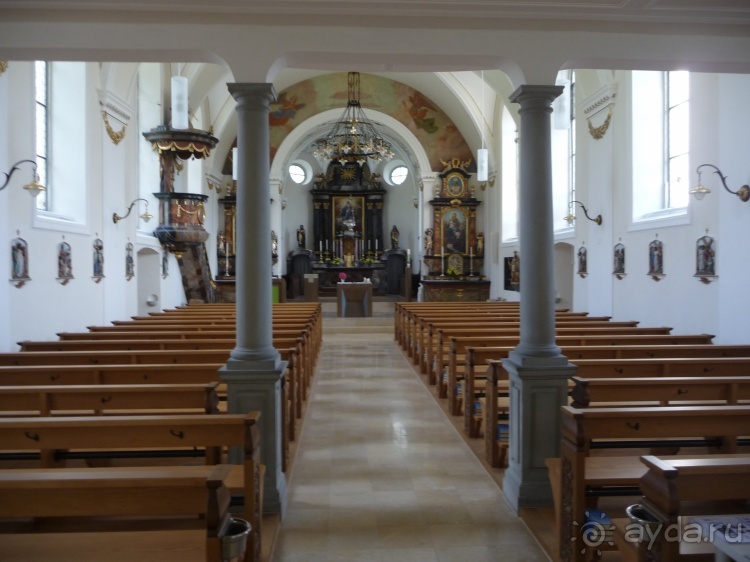 Жизнь и среда обитания русаков в Германии