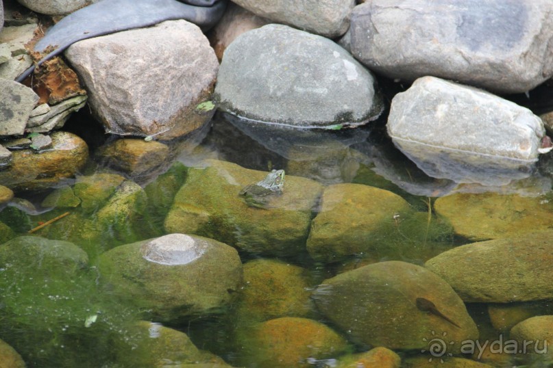 Панегирик об Эри и Ниагаре. С дополнениями