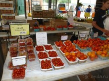 Панегирик об Эри и Ниагаре. С дополнениями