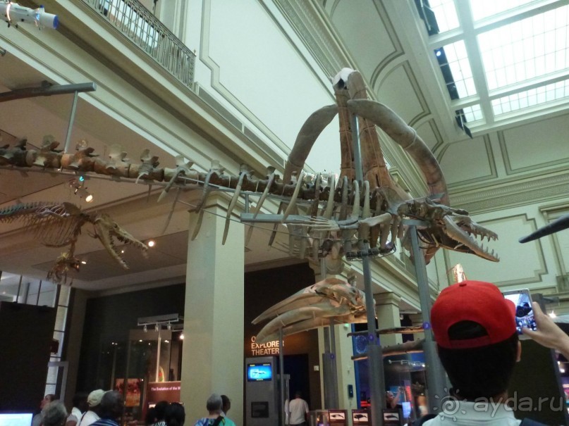 Панегирик об Эри и Ниагаре. С дополнениями