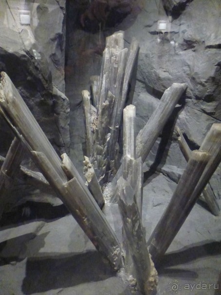 Панегирик об Эри и Ниагаре. С дополнениями