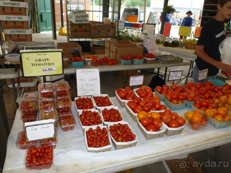 Панегирик об Эри и Ниагаре. С дополнениями