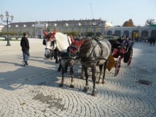 Австрия. ВнутриВенно.