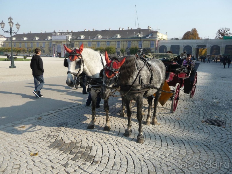 Австрия. ВнутриВенно.