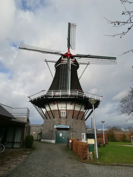 Рождество в Голландии