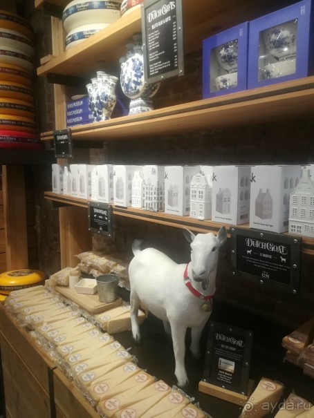 Сырный магазин