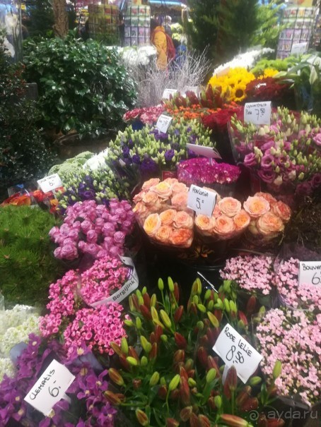 Амстердам. Цветочный рынок
