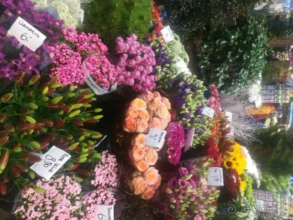 Амстердам, цветочный рынок