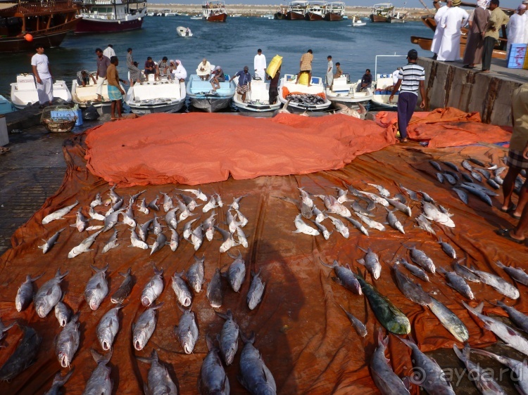 Арабские эмирадости