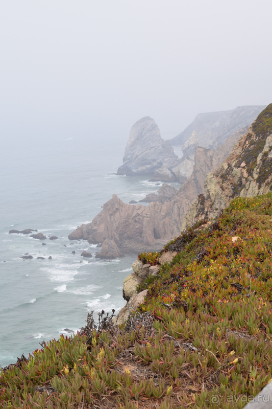 Не только портвейн...